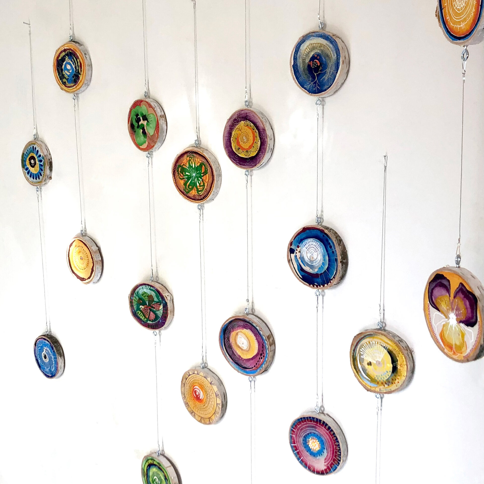 Installation of small circular paintings on birch rounds